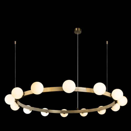 Подвесная люстра Loft IT Hoop 10311/14 изображение в интернет-магазине Cramer Light фото 3