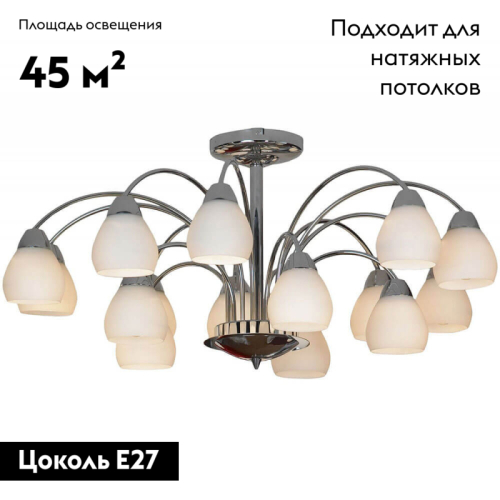 Потолочная люстра Lussole Apiro LSF-2403-15 изображение в интернет-магазине Cramer Light фото 2