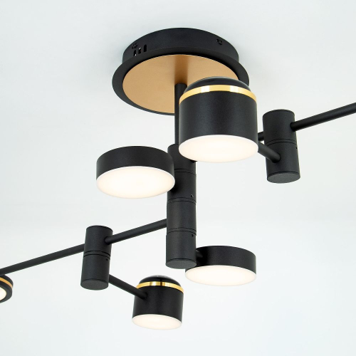 Потолочная люстра LED4U L3120-6 изображение в интернет-магазине Cramer Light фото 3