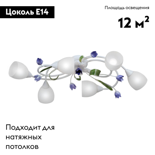 Потолочная люстра Vitaluce V1467-0/6PL изображение в интернет-магазине Cramer Light фото 2