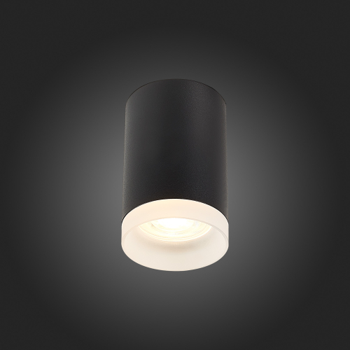 Накладной светильник ST Luce ST100 ST100.402.01 изображение в интернет-магазине Cramer Light фото 2