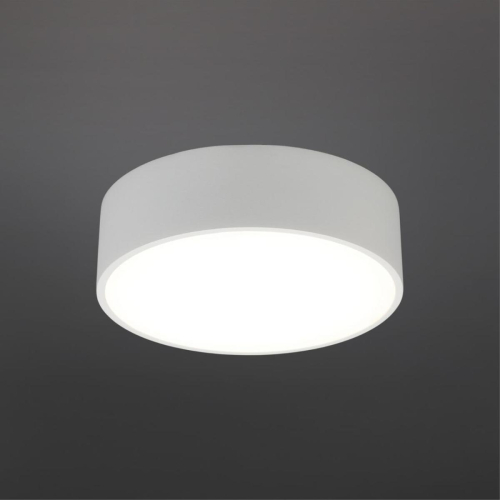 Потолочный светильник Aployt Evon APL.0114.09.12 изображение в интернет-магазине Cramer Light фото 2