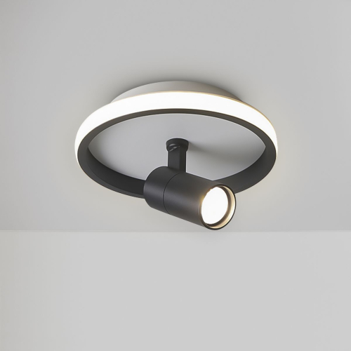 Потолочный светильник Freya Neo FR6040CL-L14B изображение в интернет-магазине Cramer Light фото 8