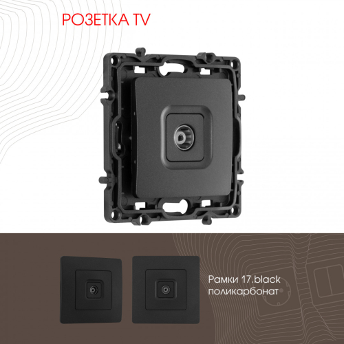 Розетка TV Arte Milano 217.43-1.black дополнительное фото