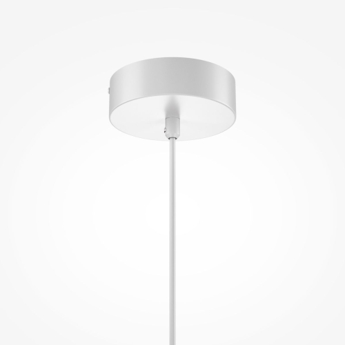 Подвесной светильник Maytoni Bloom MOD531PL-01W1 изображение в интернет-магазине Cramer Light фото 4