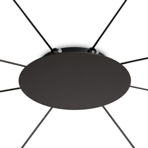 Подвесная люстра Freya Bricola FR5511PL-08B изображение в интернет-магазине Cramer Light фото 6