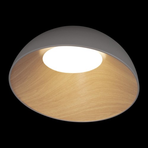 Потолочный светильник Loft IT Egg 10197/500 Grey изображение в интернет-магазине Cramer Light фото 2