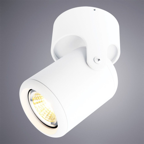 Спот Arte Lamp A3316PL-1WH изображение в интернет-магазине Cramer Light фото 2