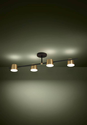 Потолочный светильник Eglo Altamira 39984 изображение в интернет-магазине Cramer Light фото 2