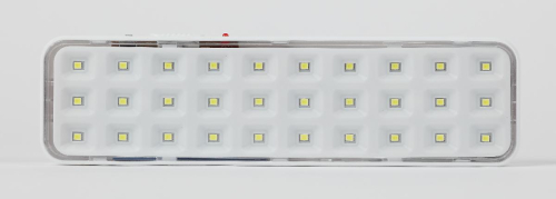Аварийный светильник Эра DBA-102-0-20 Б0044395 изображение в интернет-магазине Cramer Light фото 2