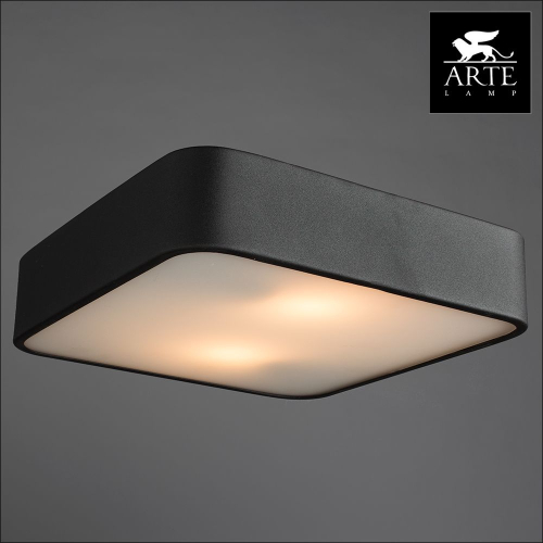 Потолочный светильник Arte Lamp Cosmopolitan A7210PL-2BK изображение в интернет-магазине Cramer Light фото 4