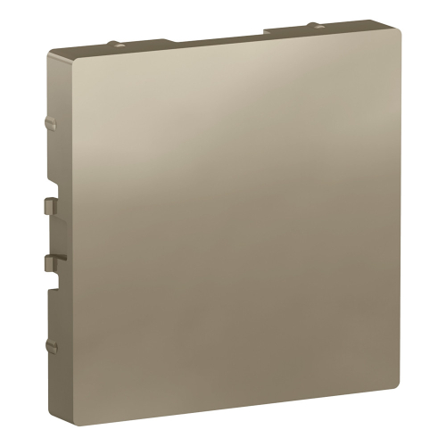 Заглушка Systeme Electric AtlasDesign Шампань ATN000509 дополнительное фото