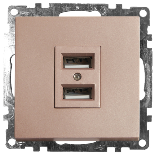 Розетка USB 2-местная Stekker Катрин 39602 дополнительное фото
