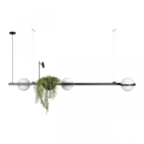 Подвесной светильник Loft IT Jardin 10121/C изображение в интернет-магазине Cramer Light