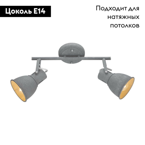 Спот Arte Lamp A1677PL-2GY изображение в интернет-магазине Cramer Light фото 2