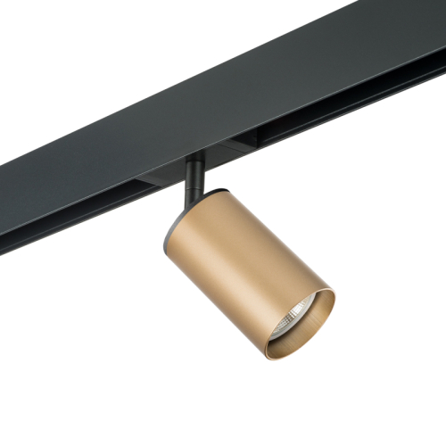 Трековый светильник Lightstar Rullo PRO440 (214440+595057) изображение в интернет-магазине Cramer Light