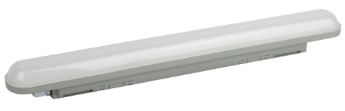Линейный светильник Эра SPP-211-0-65K-036 изображение в интернет-магазине Cramer Light