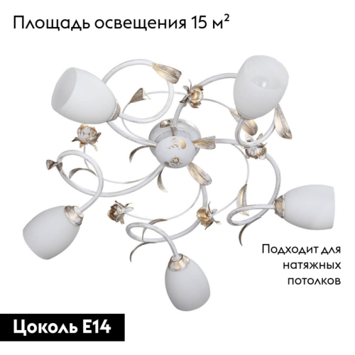 Потолочная люстра Vitaluce V1538/5PL изображение в интернет-магазине Cramer Light фото 2