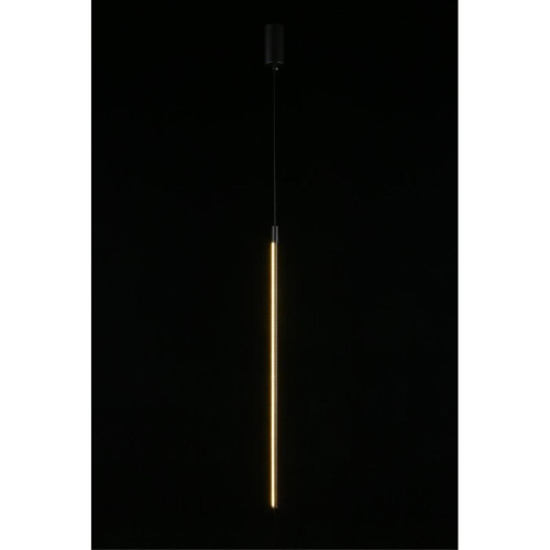 Подвесной светильник Aployt Gabi APL.0123.06.15 изображение в интернет-магазине Cramer Light фото 6