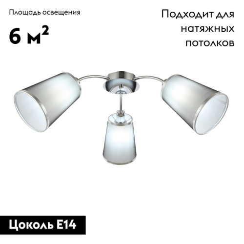 Потолочная люстра EVOLUCE MALEONTE SLE103002-03 изображение в интернет-магазине Cramer Light фото 2