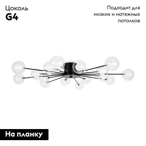 Потолочная люстра Freya Celebrity FR5242CL-16B1 изображение в интернет-магазине Cramer Light фото 2