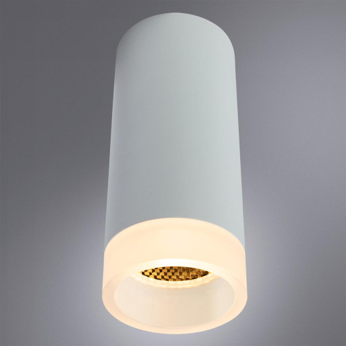 Накладной светильник Arte Lamp Ogma A5556PL-1WH изображение в интернет-магазине Cramer Light фото 5