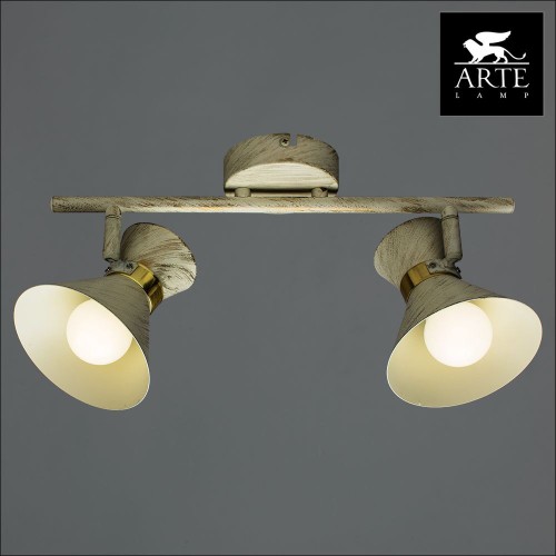 Спот Arte Lamp Baltimore A1406AP-2WG изображение в интернет-магазине Cramer Light фото 4