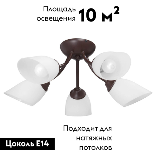 Потолочная люстра Vitaluce V3404/5PL изображение в интернет-магазине Cramer Light фото 2