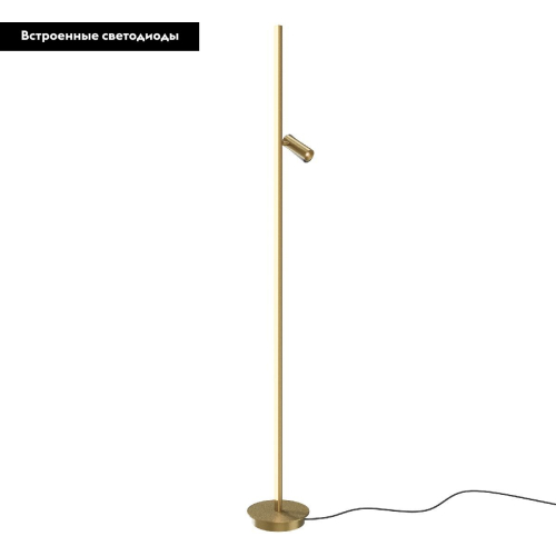 Торшер Maytoni Thin MOD395FL-L28BS3K изображение в интернет-магазине Cramer Light фото 2