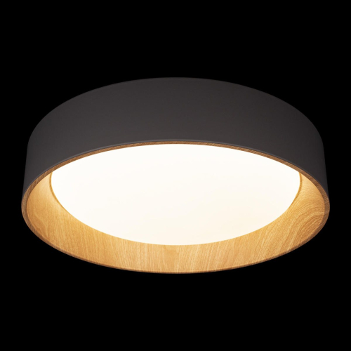 Потолочный светильник Loft IT Coin 10202 Grey изображение в интернет-магазине Cramer Light фото 5