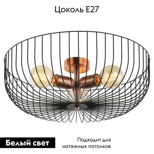 Потолочная люстра Lussole LOFT BROOKS GRLSP-8250 изображение в интернет-магазине Cramer Light фото 2