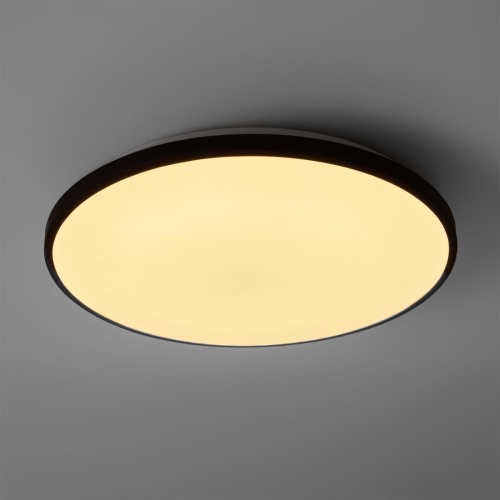 Потолочный светильник Freya Obelle FR6211CL-L24B изображение в интернет-магазине Cramer Light фото 5
