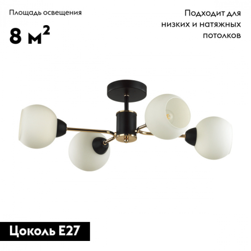 Потолочная люстра Lumion Confi 5646/4C изображение в интернет-магазине Cramer Light фото 2