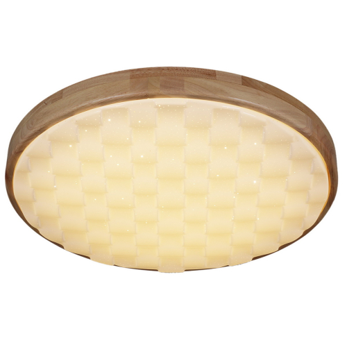 Потолочный светильник Reluce 60530-0.2-60W изображение в интернет-магазине Cramer Light фото 3