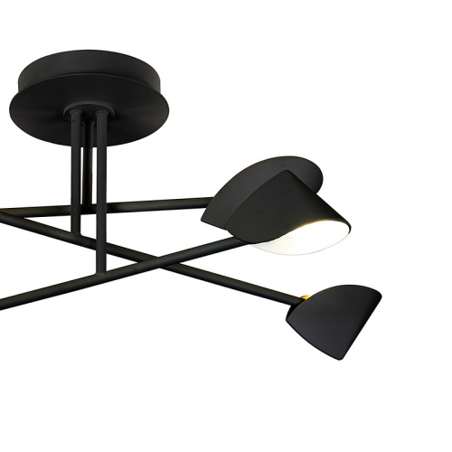 Потолочная люстра Mantra Capuccina 7581 изображение в интернет-магазине Cramer Light фото 4