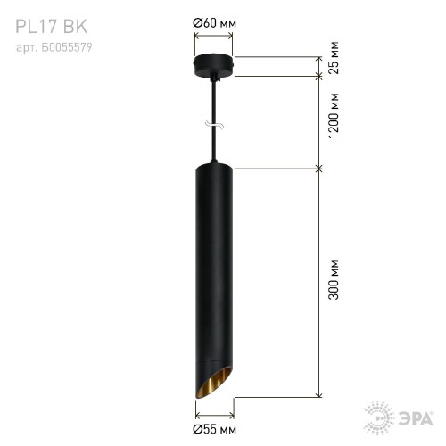 Подвесной светильник Эра PL 17 BK Б0055579 изображение в интернет-магазине Cramer Light фото 9