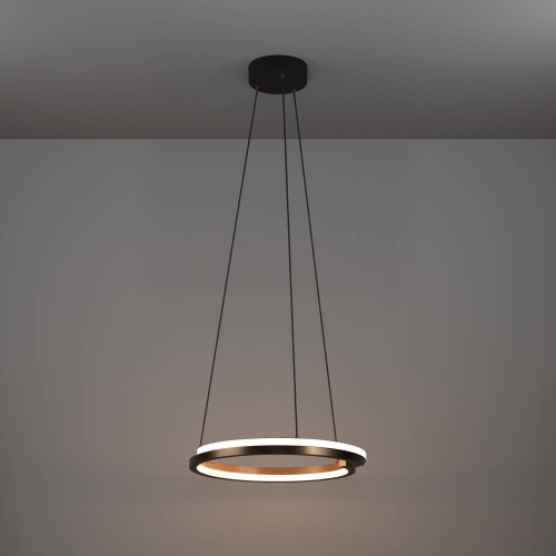 Подвесной светильник Eglo Mezzomonte 901826 изображение в интернет-магазине Cramer Light фото 7