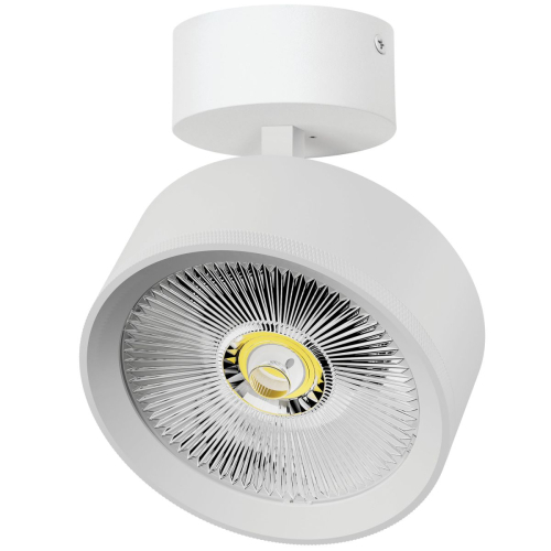 Накладной светильник Alta Pro Lightstar A5746SO изображение в интернет-магазине Cramer Light