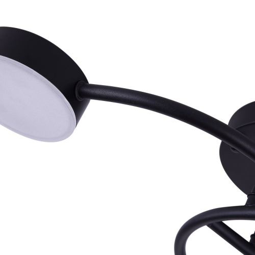 Потолочный светильник Freya Tibo FR6048CL-L6B изображение в интернет-магазине Cramer Light фото 16