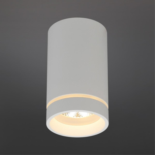 Потолочный светильник Aployt Edda APL.0053.09.10 изображение в интернет-магазине Cramer Light фото 2