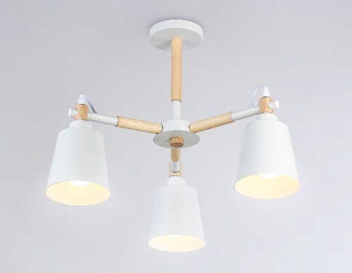 Люстра на штанге Ambrella Light Loft TR82204 изображение в интернет-магазине Cramer Light фото 2