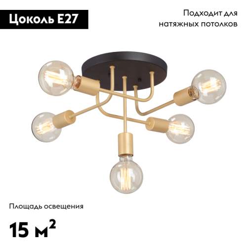 Потолочная люстра Vitaluce V3998-8/5PL изображение в интернет-магазине Cramer Light фото 2