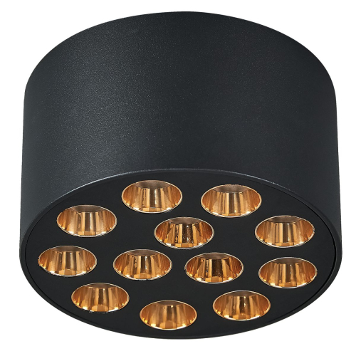 Потолочный светильник Lightstar Guarda 080942 изображение в интернет-магазине Cramer Light