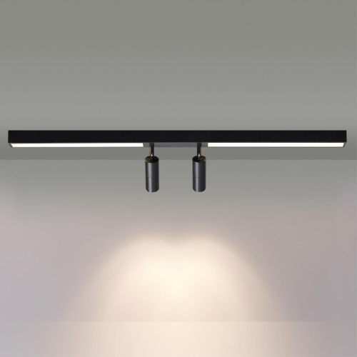 Спот Lumion Hawk 5690/14CL изображение в интернет-магазине Cramer Light фото 2