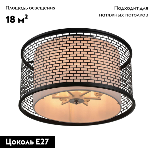 Потолочная люстра Lussole Loft LSP-9676 изображение в интернет-магазине Cramer Light фото 2