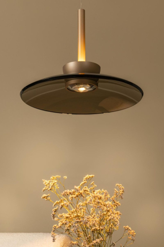 Подвесной светильник Lucide Santiago 23401/12/62 изображение в интернет-магазине Cramer Light фото 6