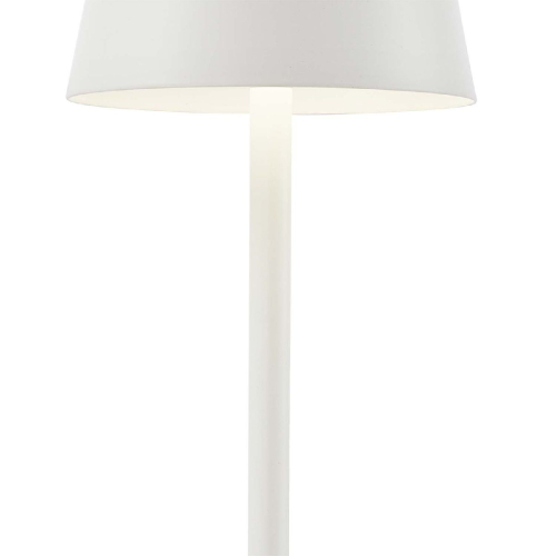 Настольная лампа F-Promo Pyari 4614-1T изображение в интернет-магазине Cramer Light фото 5