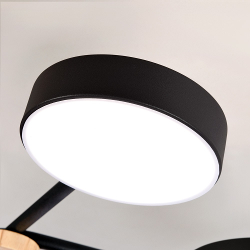 Потолочная люстра LED4U L3201-780 BK изображение в интернет-магазине Cramer Light фото 6