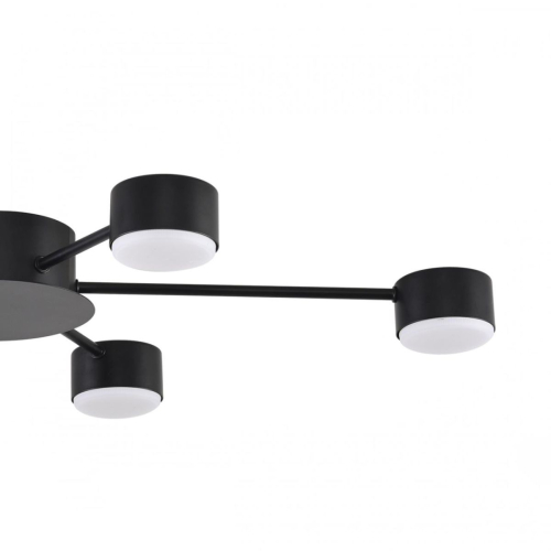 Потолочная люстра Lumion Comfi Torina 8344/6C изображение в интернет-магазине Cramer Light фото 6