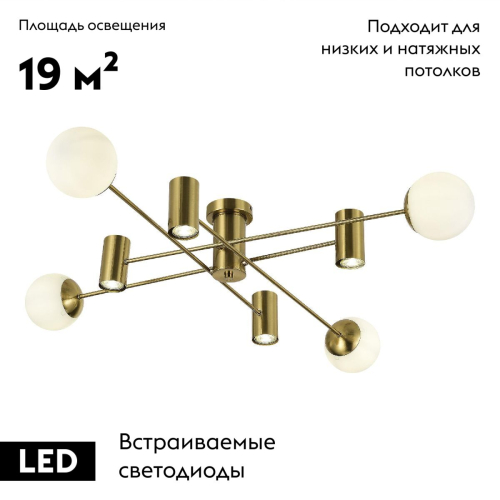 Потолочная люстра Evoluce Raito SLE1105-302-08 изображение в интернет-магазине Cramer Light фото 2
